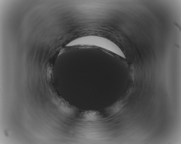 X0000099380235200805221813