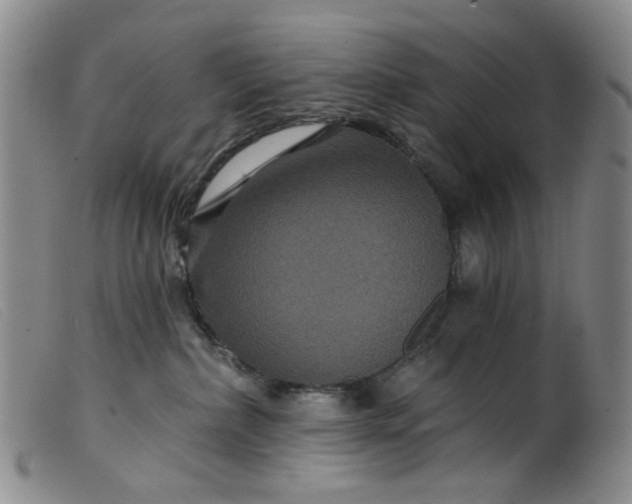 X0000099380236200805221813