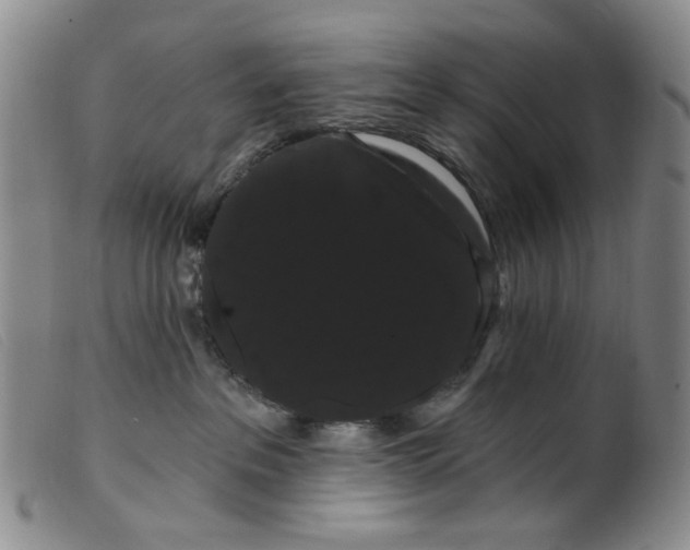 X0000099380237200805221813