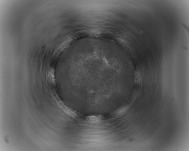 X0000099380238200805221813