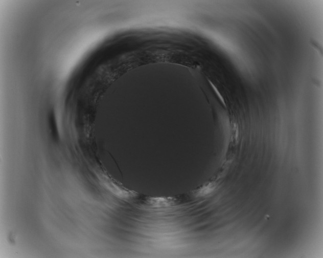 X0000099380239200805221813