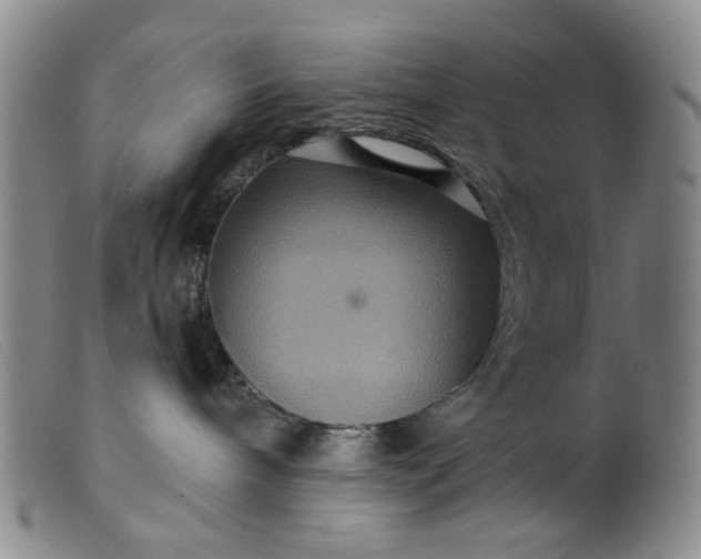 X0000099380240200805221813