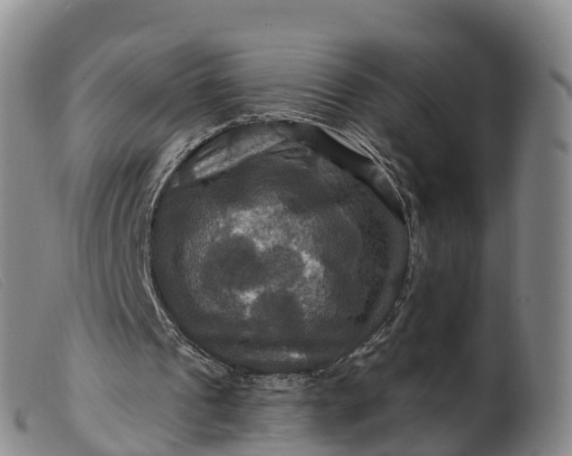 X0000099380241200805221813