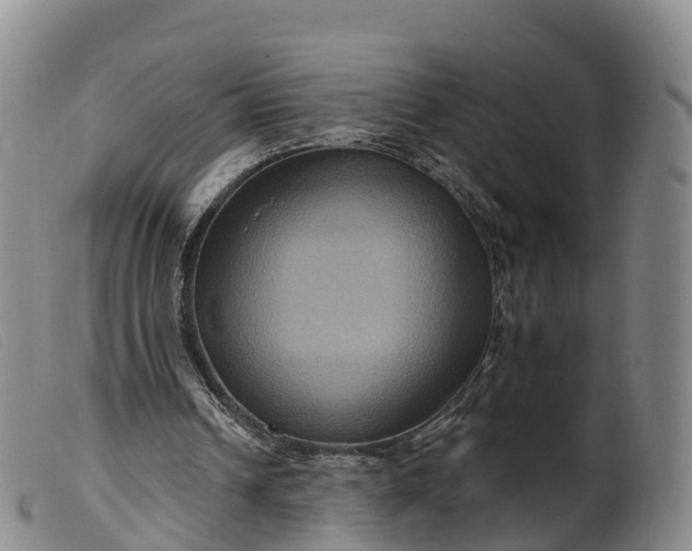 X0000099380242200805221813