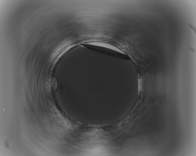 X0000099380243200805221813