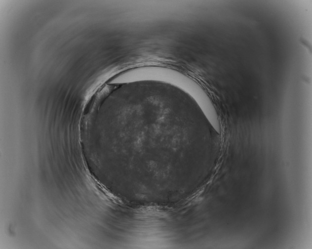 X0000099380244200805221813