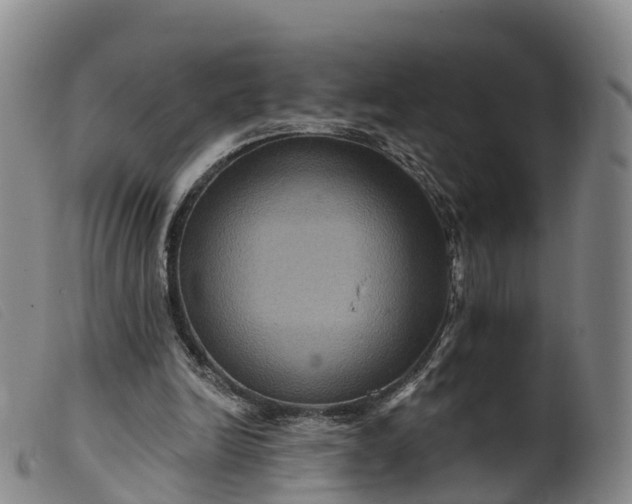 X0000099380246200805221813