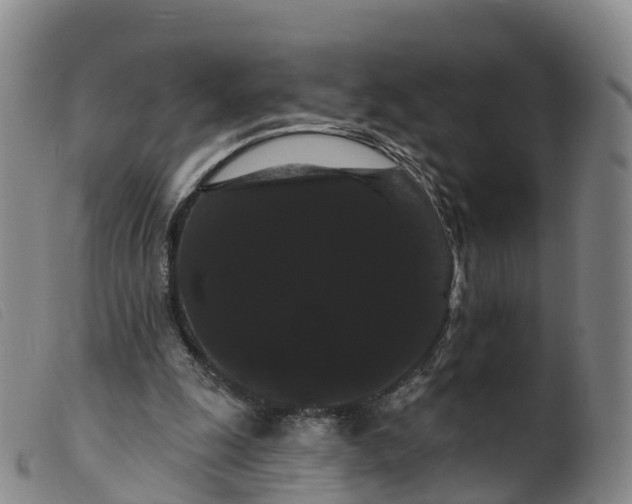 X0000099380247200805221813