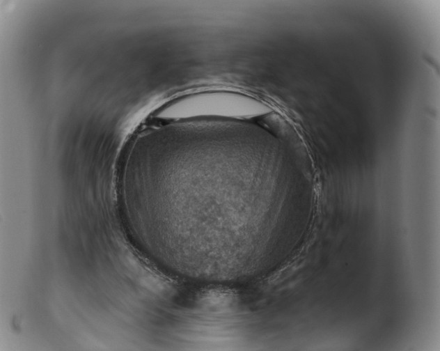 X0000099380248200805221813