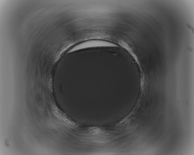 X0000099380249200805221813