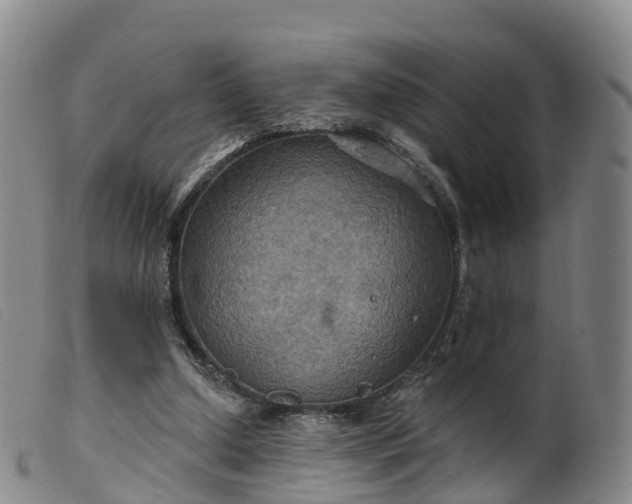 X0000099380250200805221813