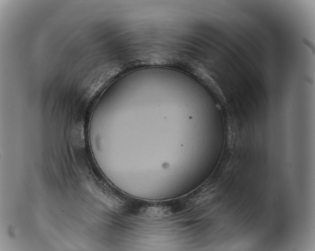 X0000099380251200805221813