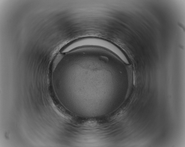 X0000099380252200805221813