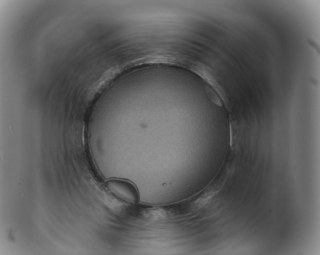 X0000099380253200805221813