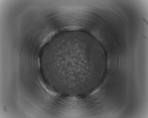 X0000099380254200805221813