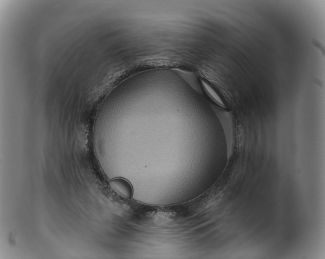 X0000099380255200805221813