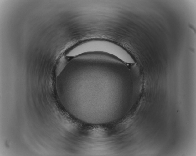 X0000099380256200805221813