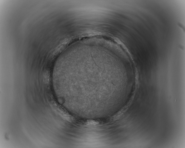 X0000099380257200805221813