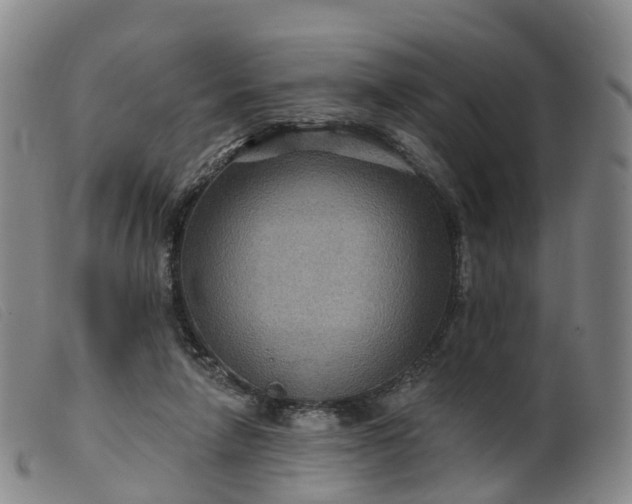 X0000099380258200805221813