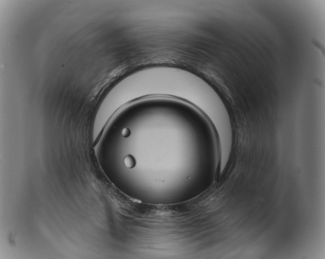 X0000099380260200805221813