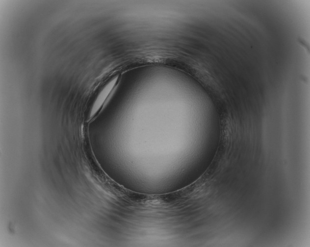 X0000099380262200805221813