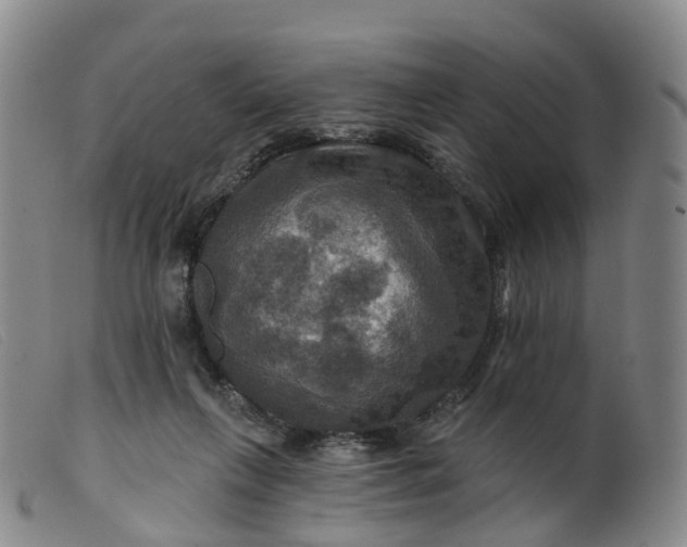 X0000099380263200805221813