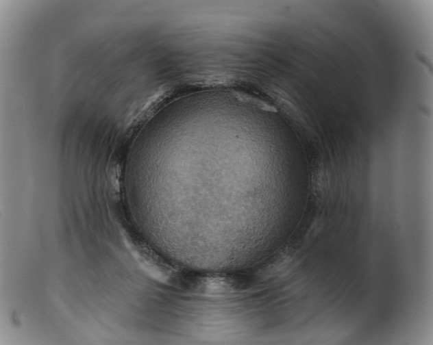 X0000099380264200805221813