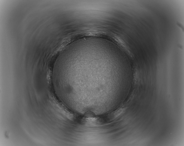 X0000099380265200805221813