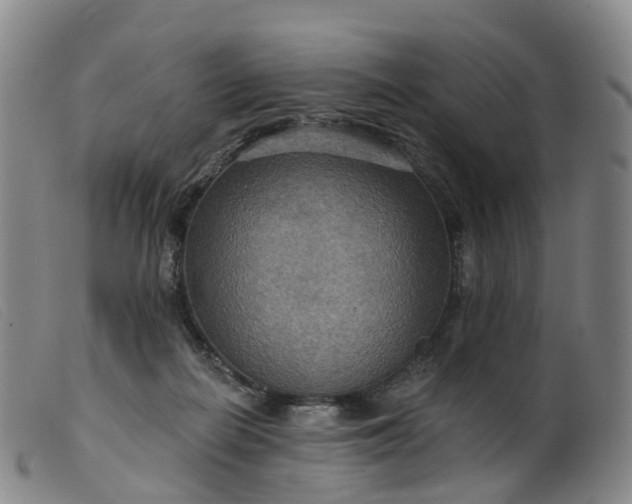 X0000099380266200805221813