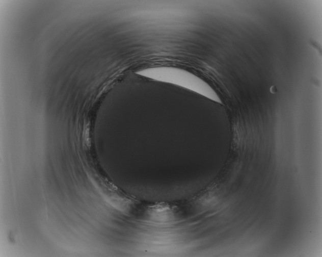 X0000099380267200805221813