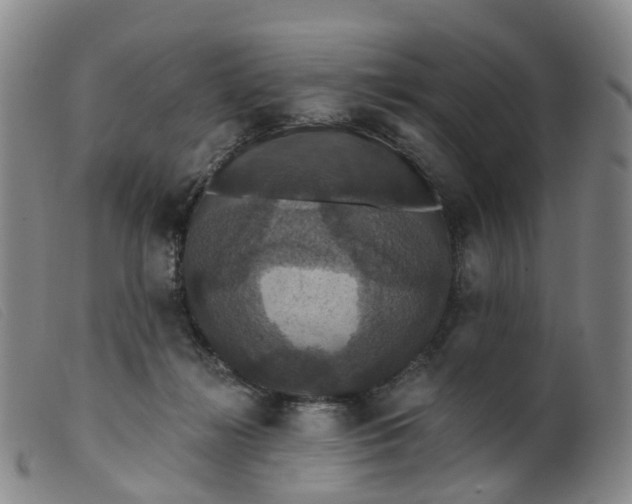 X0000099380268200805221813