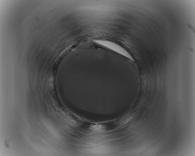 X0000099380269200805221813