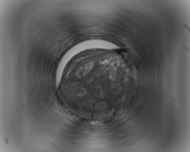 X0000099380270200805221813