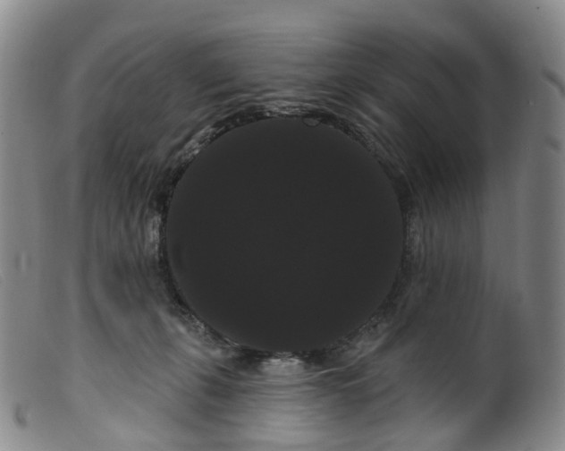 X0000099380271200805221813