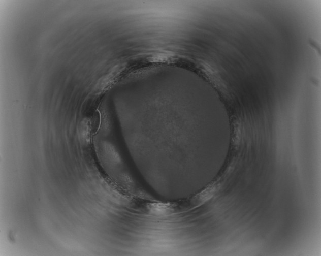 X0000099380273200805221813