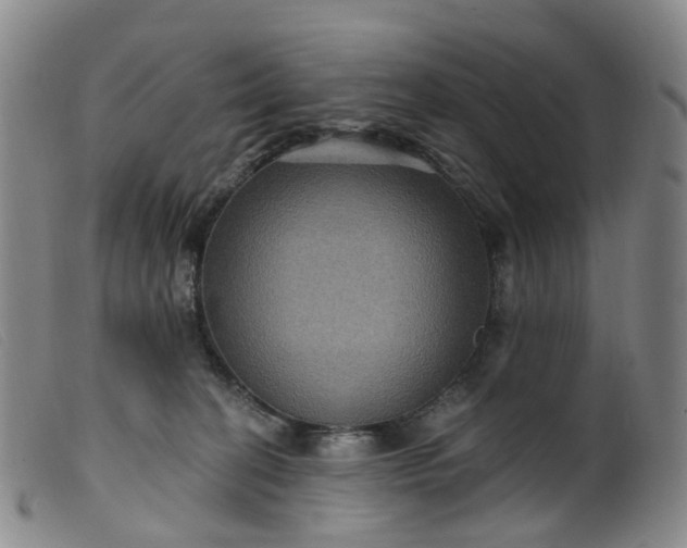 X0000099380274200805221813