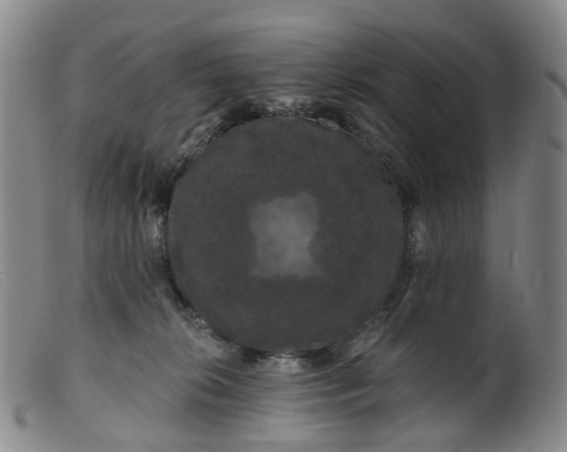 X0000099380276200805221813