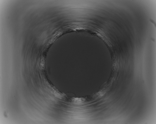 X0000099380277200805221813