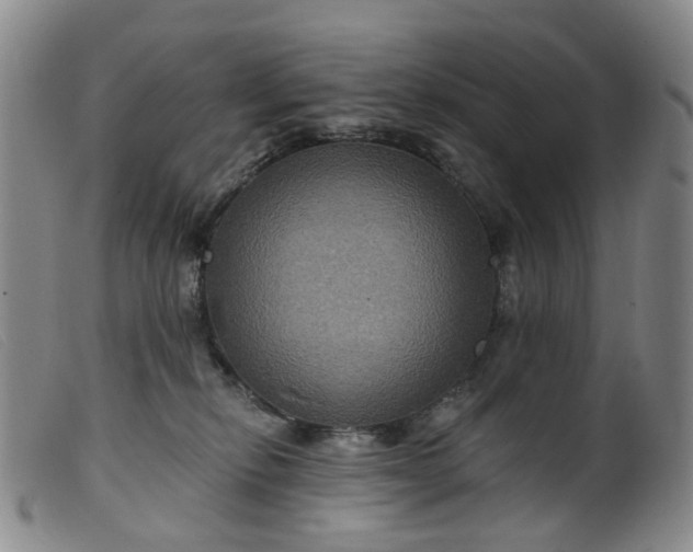 X0000099380278200805221813