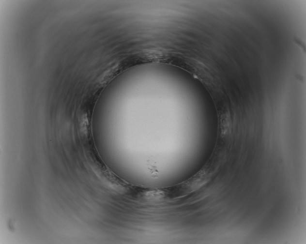 X0000099380279200805221813