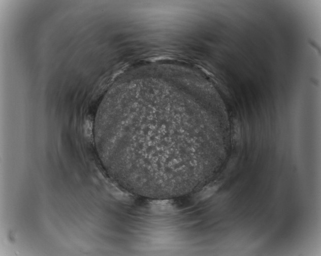 X0000099380281200805221813