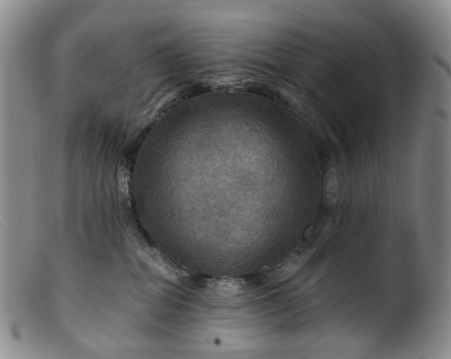 X0000099380282200805221813