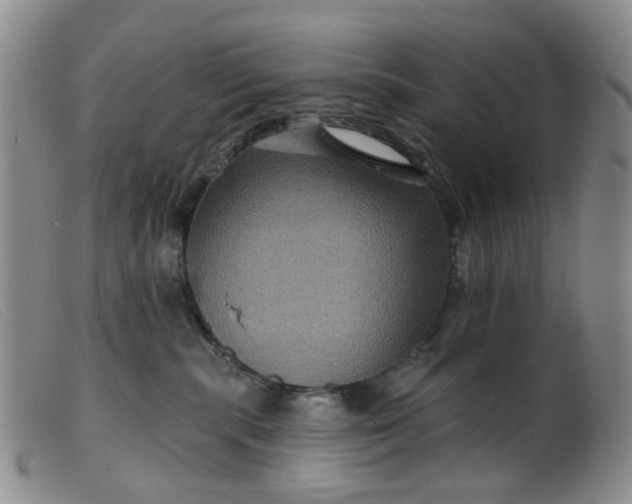 X0000099380283200805221813