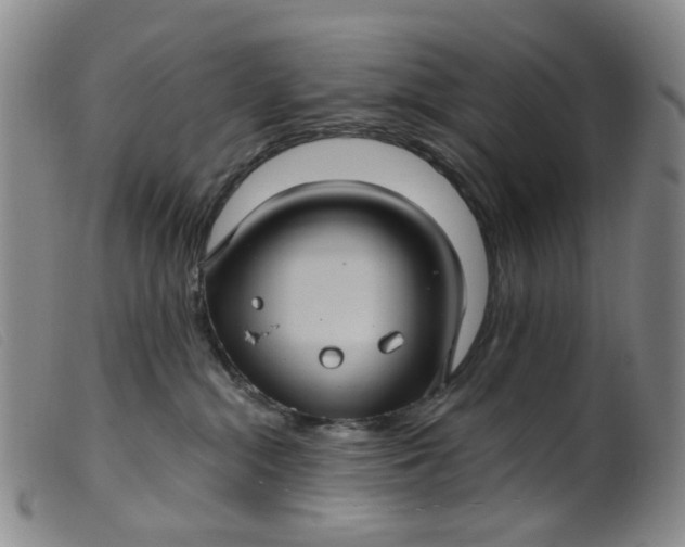 X0000099380284200805221813