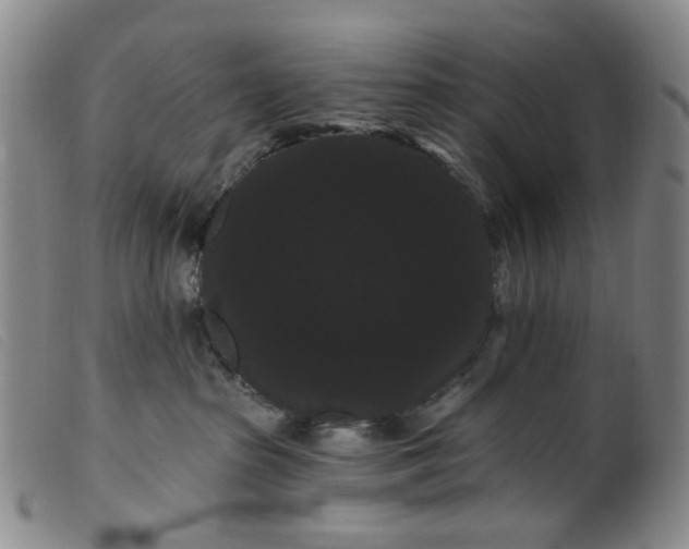 X0000099380285200805221813