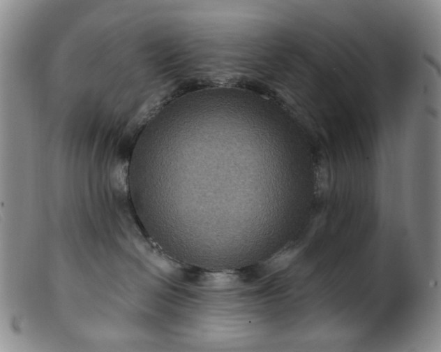 X0000099380286200805221813