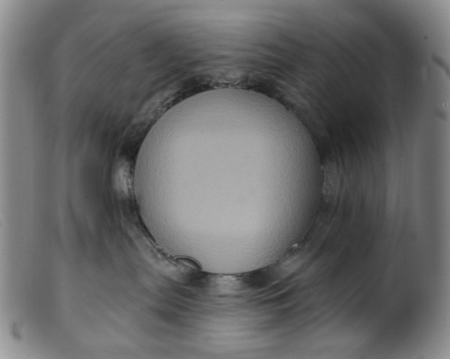 X0000099380287200805221813