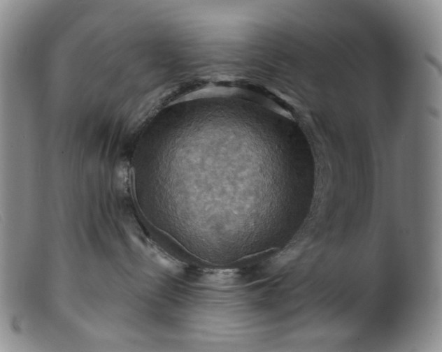 X0000099380288200805221813