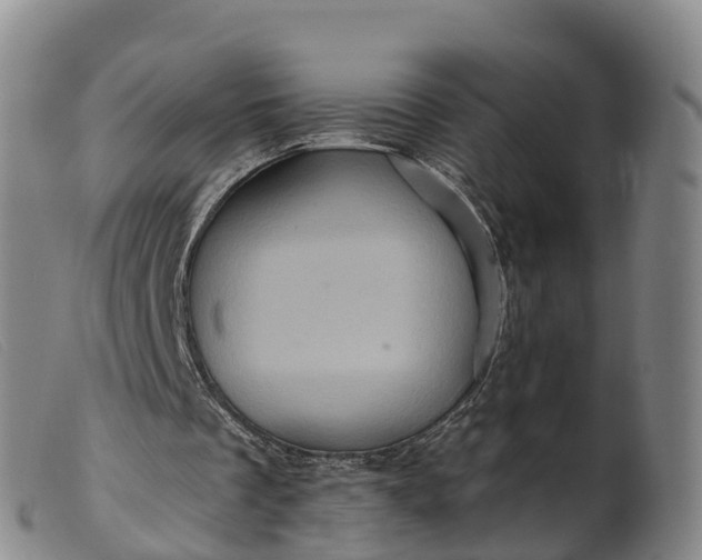 X0000099380289200805221813