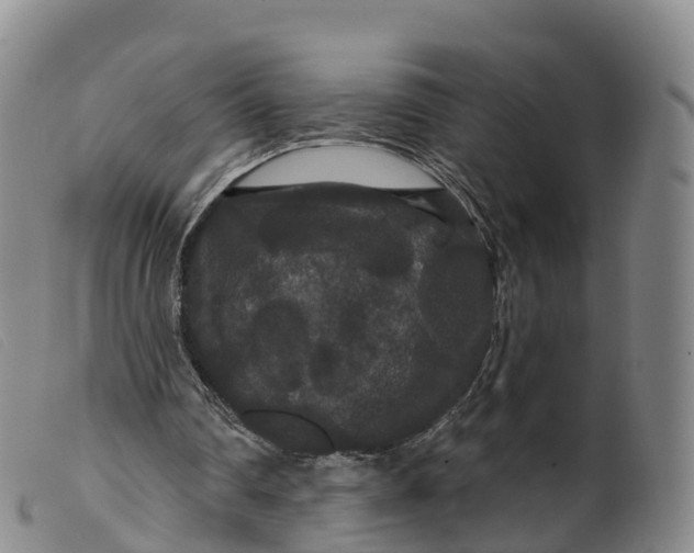 X0000099380290200805221813